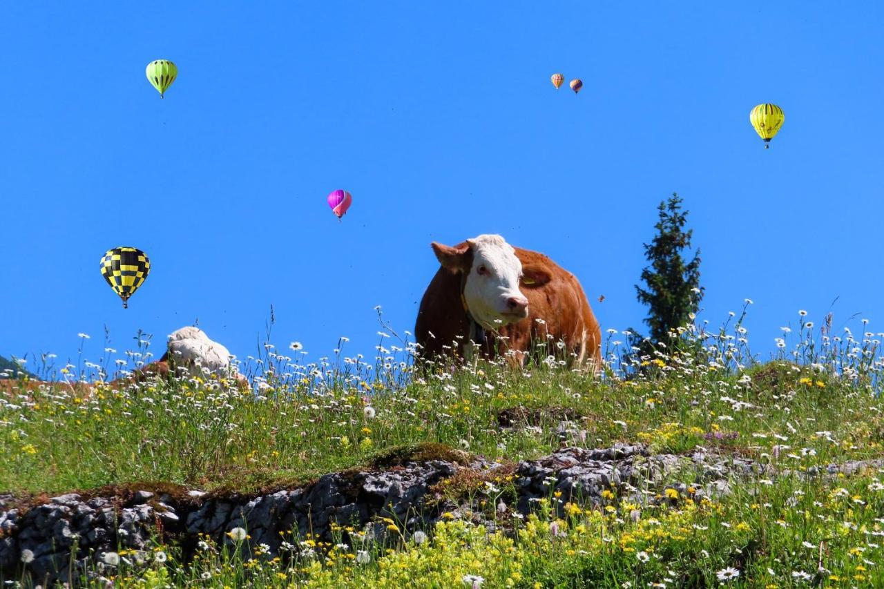 Appartamento Alpenhaus Donnerkogel Annaberg im Lammertal Esterno foto