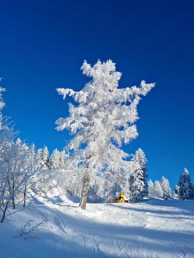 Appartamento Alpenhaus Donnerkogel Annaberg im Lammertal Esterno foto